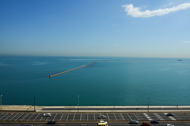 Building Photo - 910 N Lake Shore Dr