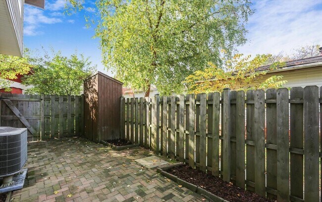 backyard - 78 Nina Ct