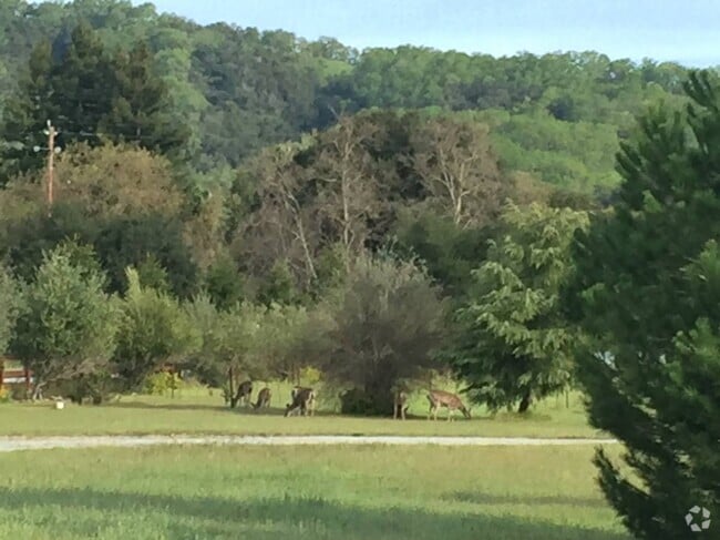 View from deck - 9385 Burchell Rd