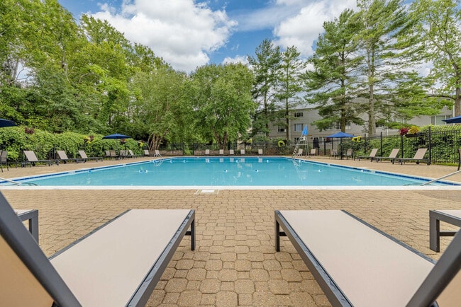 Pool - Renaissance Club