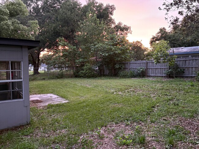 Backyard - 316 E Daughtery Rd