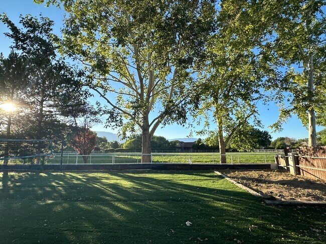 Vista frontal de la puerta principal - 588 Applewood Rd