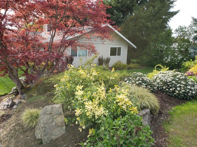 Front Yard - 6875 83rd Ave SE