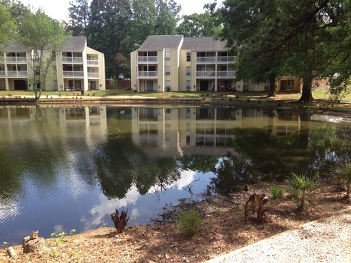 Primary Photo - 325 Oak Run Dr