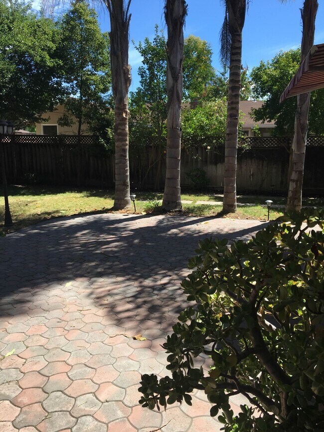 Backyard 2 - 11596 Southwood Dr
