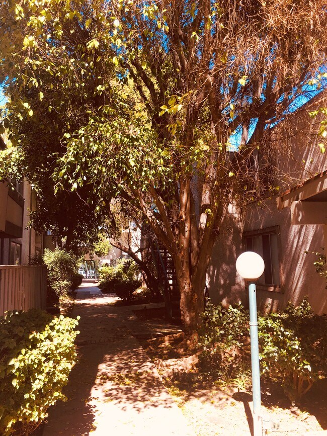 Foto del edificio - 18620 Hatteras St
