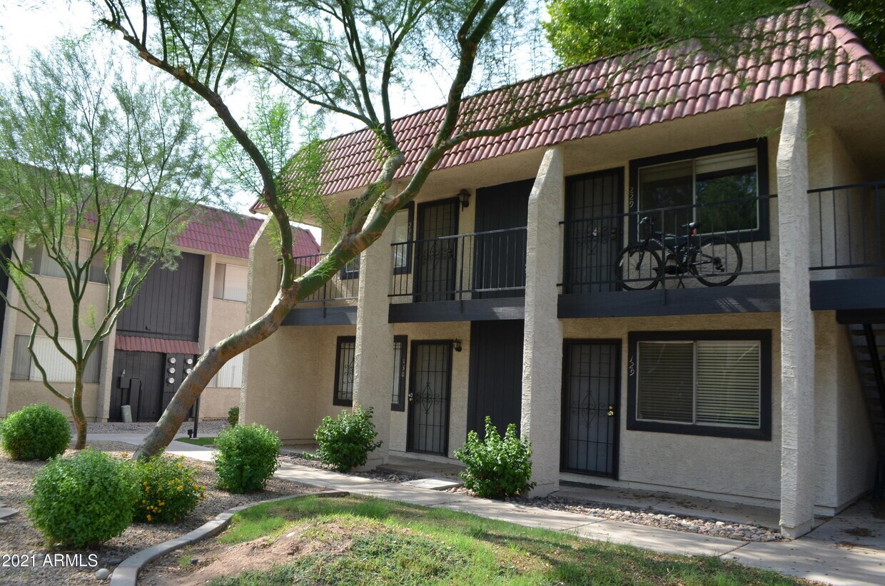 700 E University Dr Unit 103, Tempe, AZ 85281 Room for Rent in Tempe, AZ