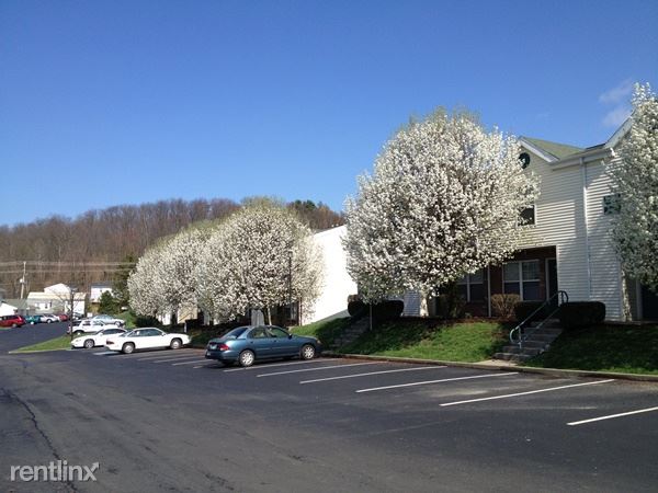 Foto del edificio - 205 Glen Abbey Ln