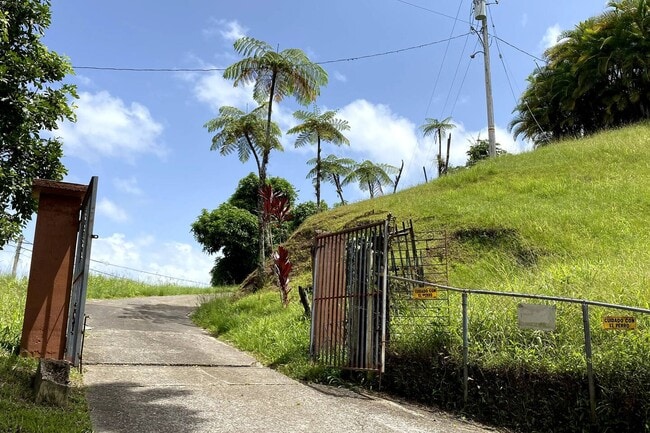 Building Photo - 445 W Mangrum Dr