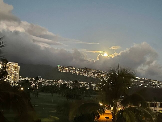 Evening view - 320 Liliuokalani Ave