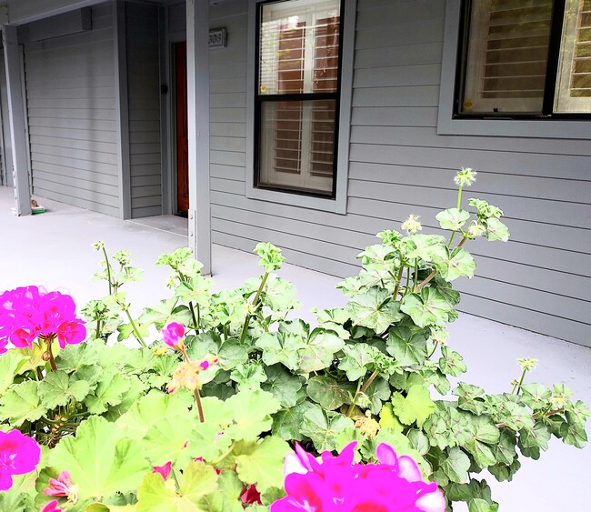Building Photo - 1644 San Miguel Dr