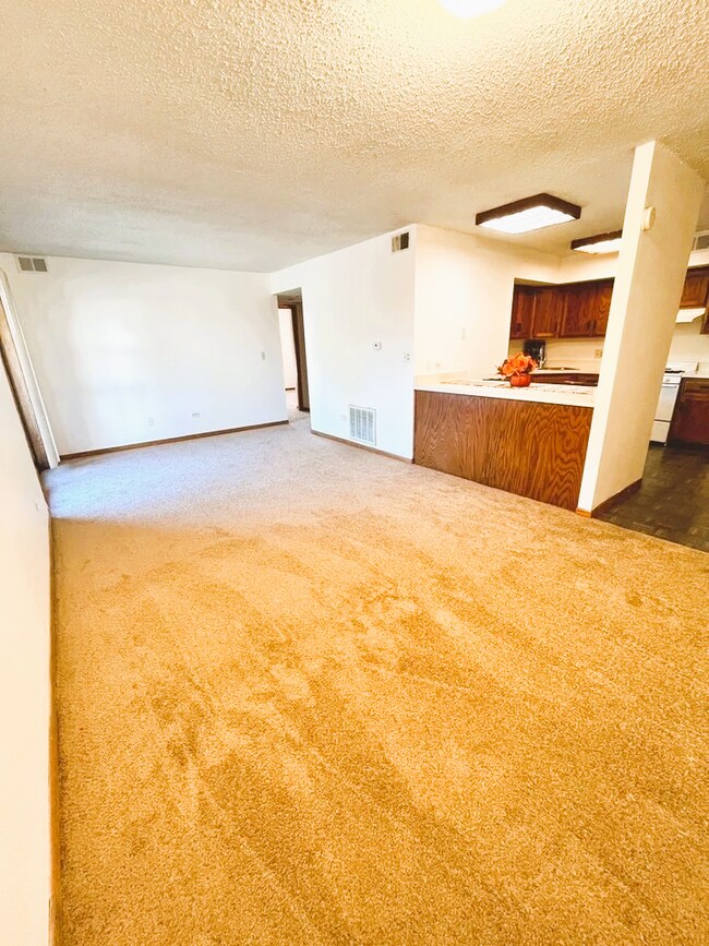 Sala de estar - 884 N Prairie Ave