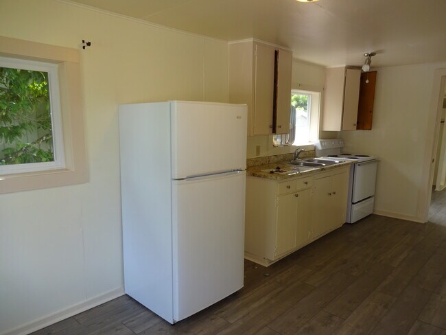 kitchen - 1124 Almaden St Apartment