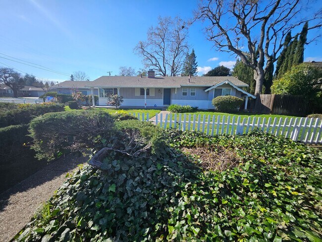 Foto del edificio - Charming Walnut Creek Ranch-Style Home