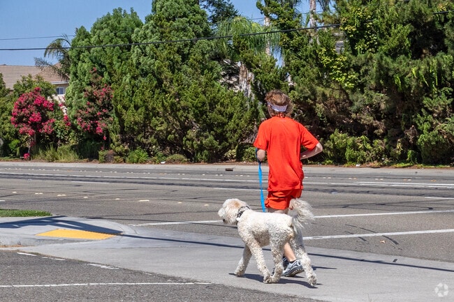 Take the dog for a walk along the sidewalks of South Manteca.