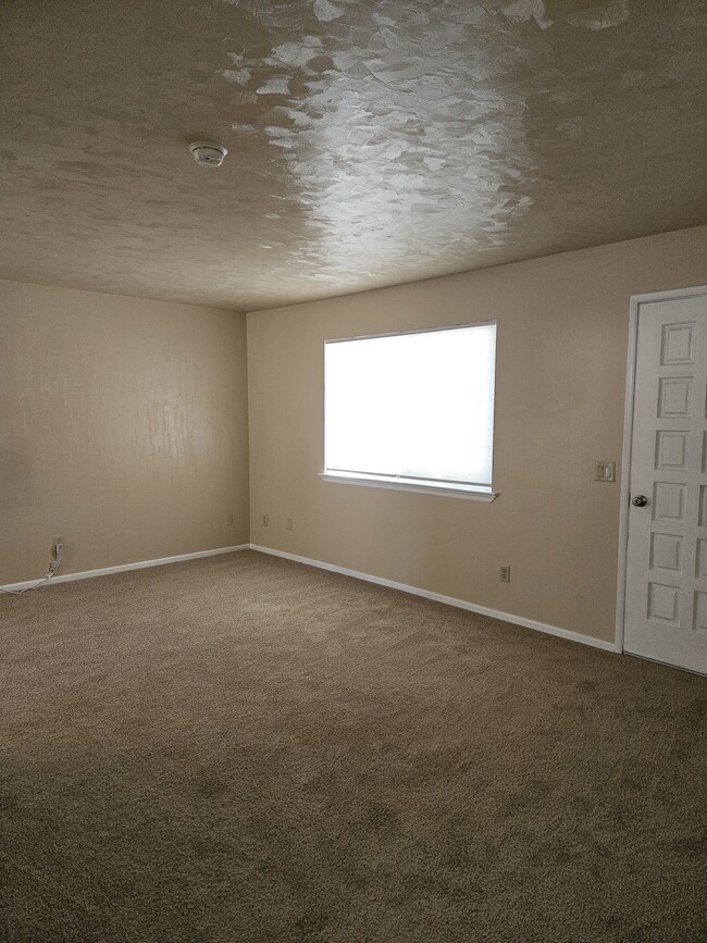 Building Photo - 517 Wildes St