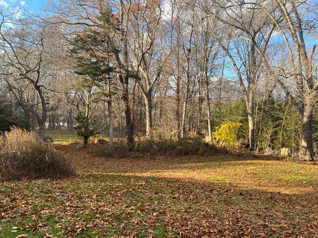 Atrás - 6 Churchill Ln