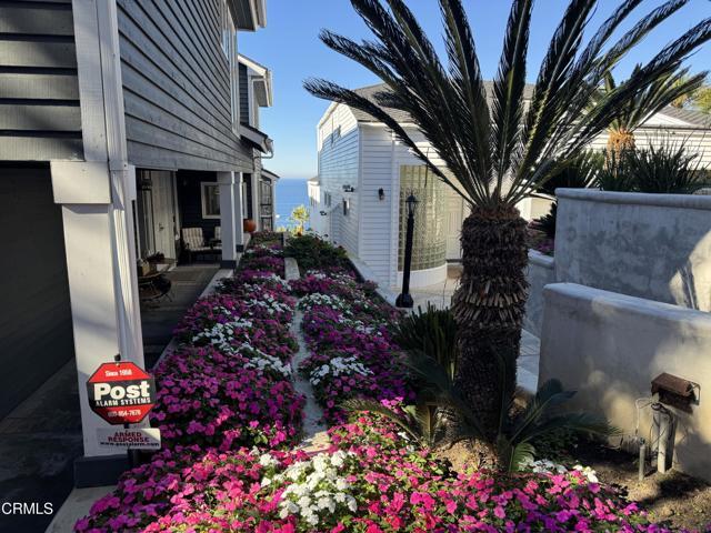 Foto del edificio - 32175 S Coast Hwy