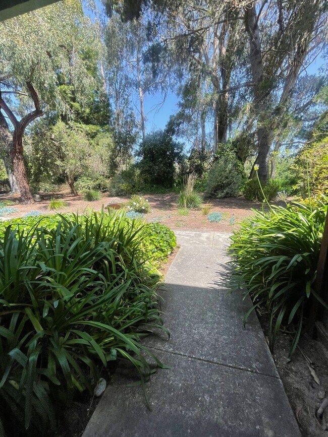 Foto del edificio - Beautiful Capitola Condo minutes from Capitola Village!