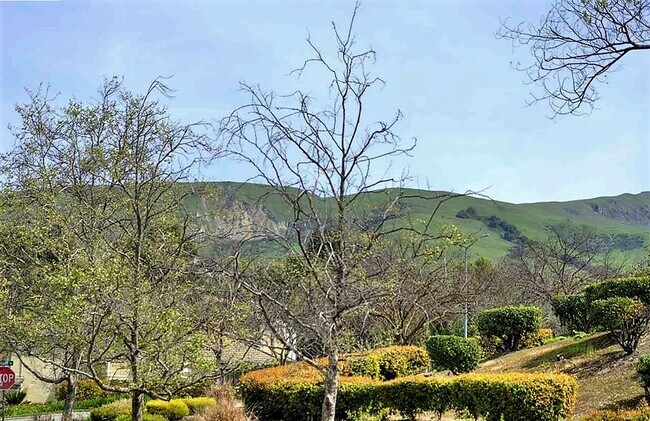 Foto del edificio - 161 Lynx Ct