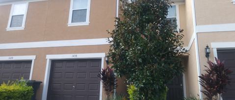 Building Photo - 1438 Chelsea Dr