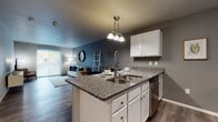 Located on Alameda Street in Detroit, Michigan, this single-floor residence offers a thoughtfully designed layout that balances functionality with modern style. The open-concept kitchen flows seamlessly into the living area, creating an inviting and connected space. The kitchen is outfitted with white shaker cabinetry, granite countertops, stainless steel appliances including a refrigerator and dishwasher, and a peninsula with bar seating illuminated by a stylish pendant light fixture — ideal for casual dining or entertaining. Wood-look plank flooring runs throughout the main living areas, lending warmth and continuity to the space. The living room provides a comfortable retreat with natural light streaming in through a large window. The bedroom features plush carpeting, a walk-in closet, and a window that brings in additional natural light, creating a calm and restful environment. A dedicated bathroom with a shower/tub combination and wood-look flooring provides clean, practical finishes. A standout convenience is the in-unit laundry area, which includes a full-size washer and dryer. The overall color palette of soft grays and neutral tones gives the space a modern, cohesive aesthetic throughout.