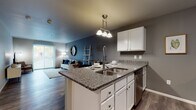 Located on Alameda Street in Detroit, Michigan, this single-floor residence offers a thoughtfully designed layout that balances functionality with modern style. The open-concept kitchen flows seamlessly into the living area, creating an inviting and connected space. The kitchen is outfitted with white shaker cabinetry, granite countertops, stainless steel appliances including a refrigerator and dishwasher, and a peninsula with bar seating illuminated by a stylish pendant light fixture — ideal for casual dining or entertaining. Wood-look plank flooring runs throughout the main living areas, lending warmth and continuity to the space. The living room provides a comfortable retreat with natural light streaming in through a large window. The bedroom features plush carpeting, a walk-in closet, and a window that brings in additional natural light, creating a calm and restful environment. A dedicated bathroom with a shower/tub combination and wood-look flooring provides clean, practical finishes. A standout convenience is the in-unit laundry area, which includes a full-size washer and dryer. The overall color palette of soft grays and neutral tones gives the space a modern, cohesive aesthetic throughout.