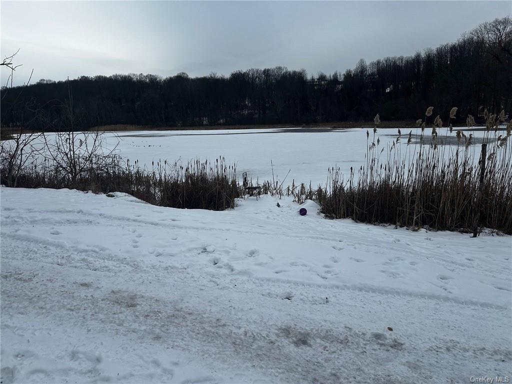 466 Bullet Hole Rd, Mahopac, NY 10541 House Rental in Mahopac, NY