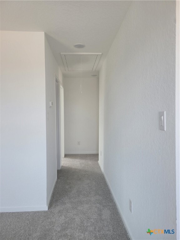 Foto del edificio - 3310 Noir Ln