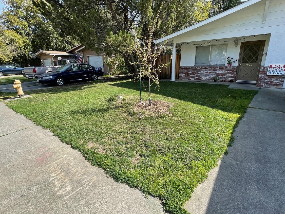 Front Yard - 4828 Cowell Blvd