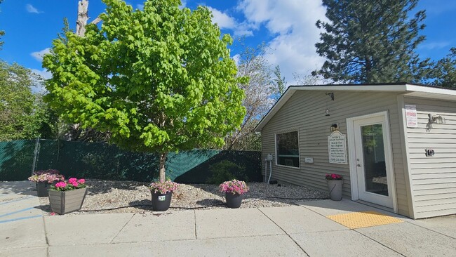 Interior Photo - Mountain View Apartments