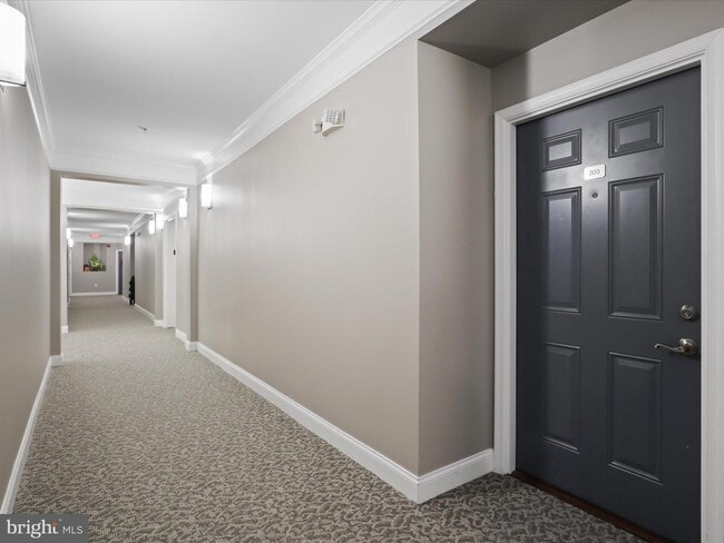 Hallways - 24637 Woolly Mammoth Ter Apartment