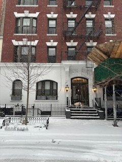 Foto del edificio - 340 W 19th St