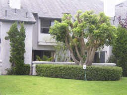 Building Photo - 522 Via De La Valle