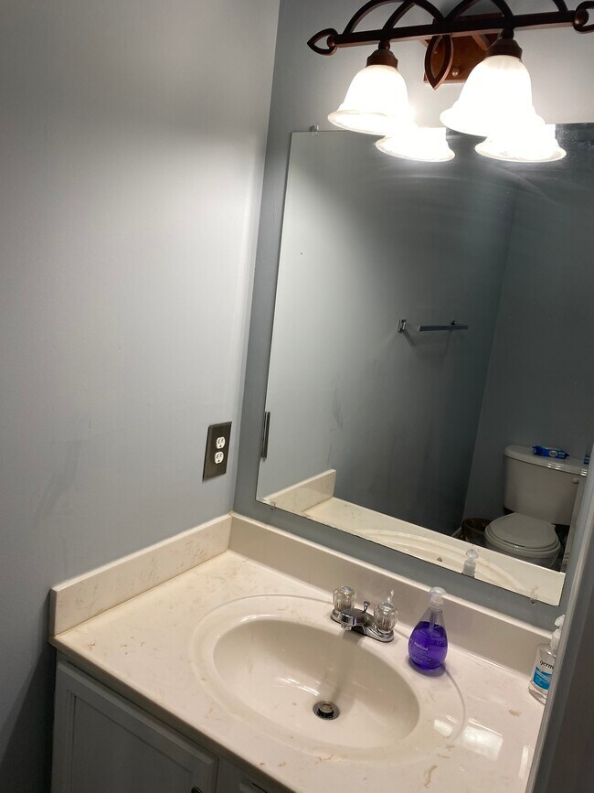 Half Bath Main Level - 733 Wyndhurst Dr