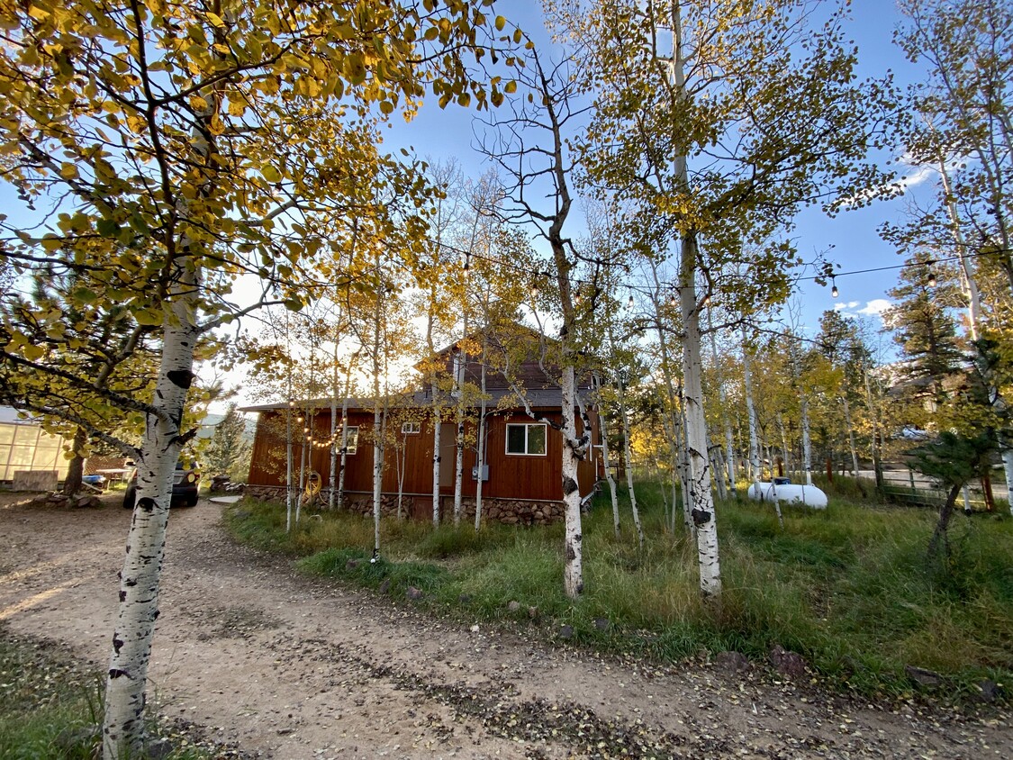 252 Jones Rd, Bailey, CO 80421 House Rental in Bailey, CO