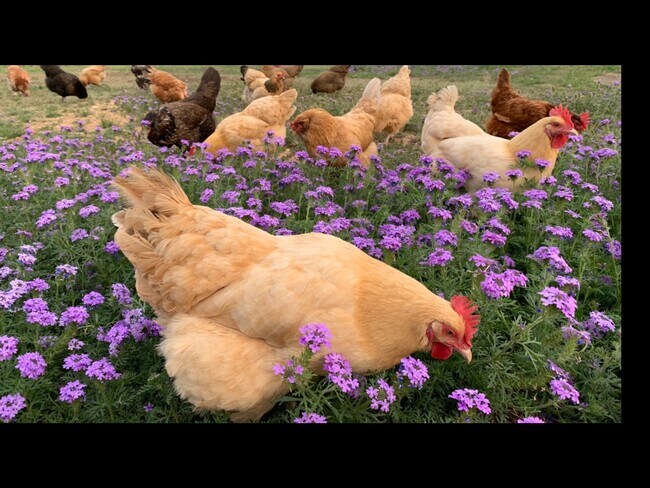 Foto del edificio - 143 River Ranch Rd