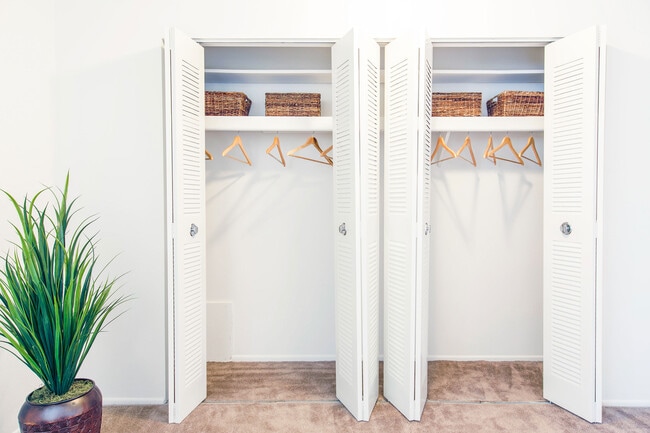 Reach-in Closet - Medical Center Court