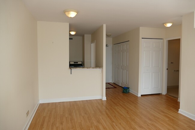 Building Photo - 1460 N Sandburg Terrace