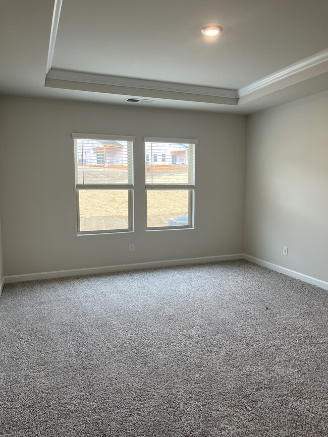 Large first floor owner suite. Coffered ceiling and ceiling fan. - 4111 Honey Locust Dr