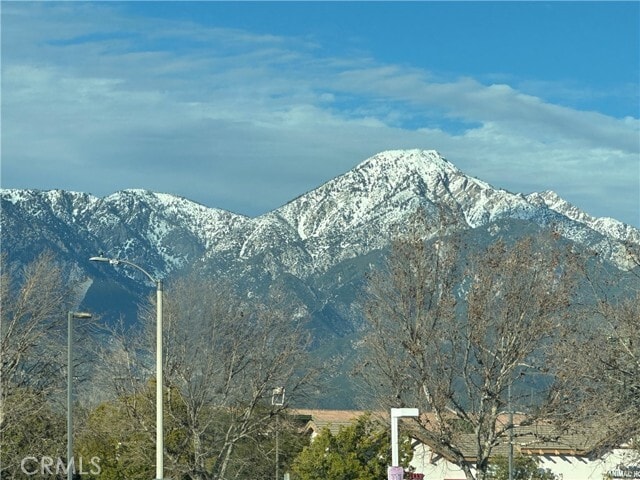 Foto del edificio - 1054 N Euclid Ave