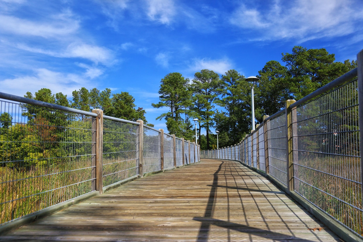 Midtown at Town Center Apartments in Virginia Beach, VA