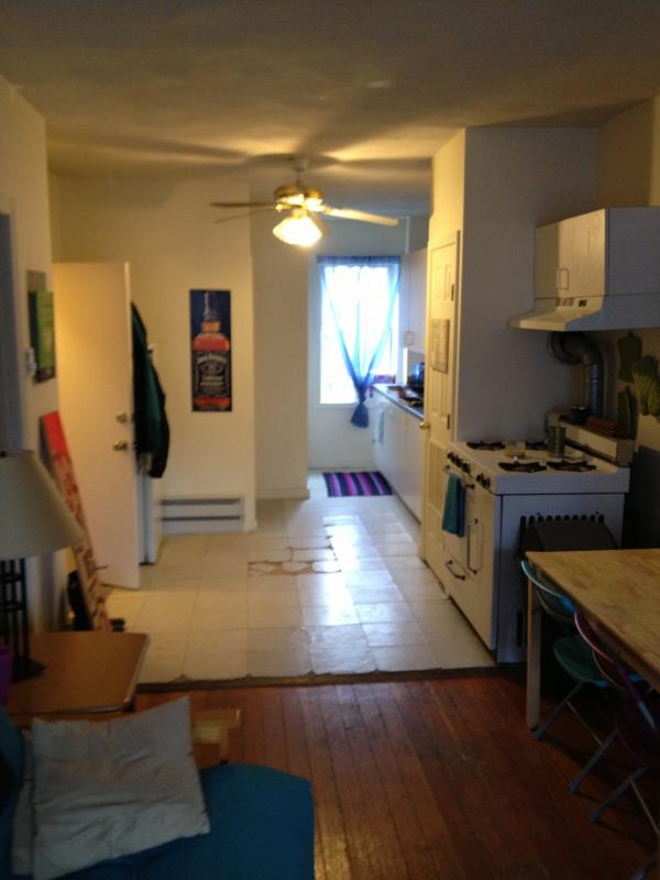 Primary Photo - 37 Cooper St