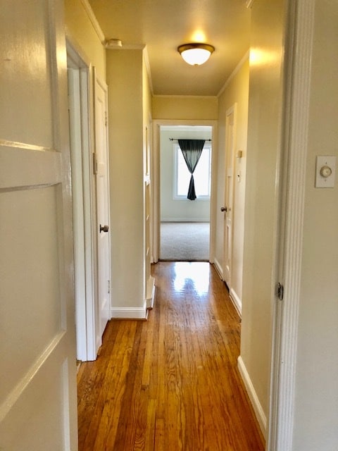 hallway - 627 Midway Ave
