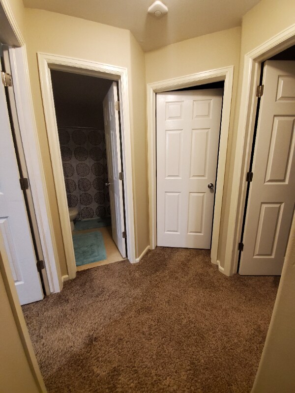 Building Photo - 3579 Bucking Bronco Ct