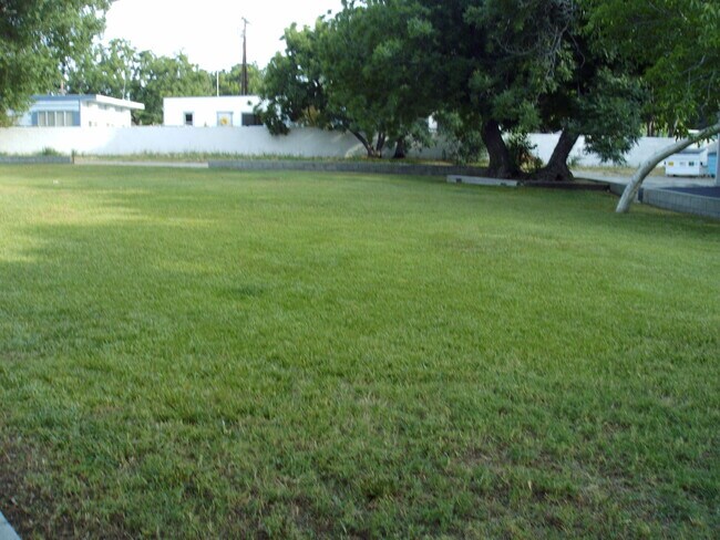 BACK YARK - 24611 Valley St