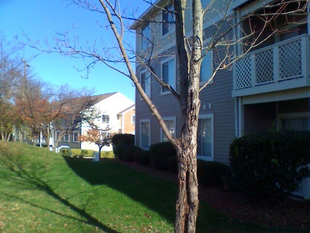 Foto del edificio - 9551 University Terrace Dr