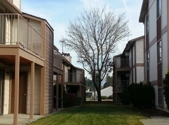Primary Photo - Amberwood Club Apartments