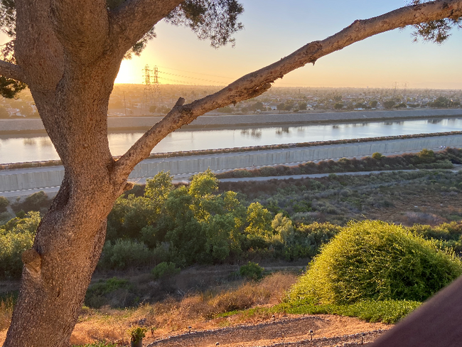 Building Photo - 2151 Pacific Ave