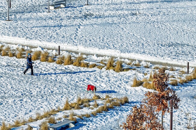Resident walking their dog during the colder months.